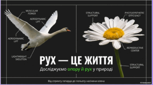 Досліджуємо опору й рух тварин і рослин
