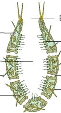 09015i6y-d668-126x232.png