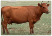 09015j5i-b46e-180x127.png