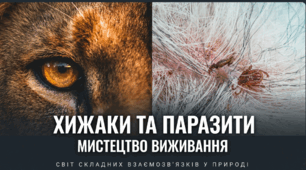 Як організми співіснують у середовищі.  Паразити і хижаки