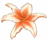 09015ki9-71a8-201x172.png