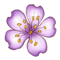 09015kid-b8c7-205x205.png