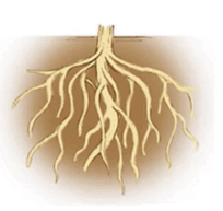 09015kih-71e9-204x193.png