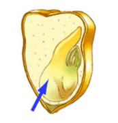 09015kiy-3951-180x187.png