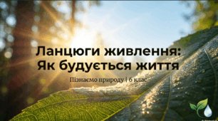 Як складати ланцюги живлення