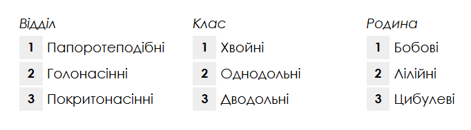 09015kvq-313f-682x189.png