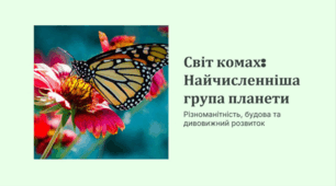 Презентація до уроку біології в 7 класі на тему "Комахи"