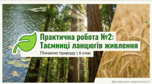 Практична робота №2  Складання ланцюгів живлення водойми, парку, лісу, поля,  грядки (на вибір).