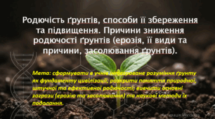 Природничі науки. 10 клас. Презентація до уроку: Родючість ґрунтів, способи її збереження та підвищення. Причини зниження родючості ґрунтів (ерозія, її види та причини, засолювання ґрунтів).