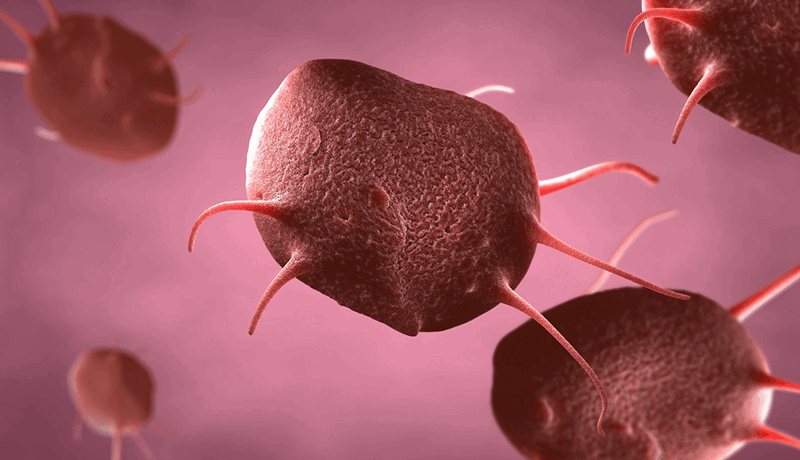 09015pw2-618d-800x460.png