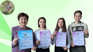 Участь у Всеукраїнському конкурсі " Птах року - 2025. Крутиголовка"