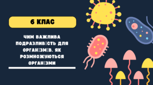 Презентація "ЧИМ ВАЖЛИВА ПОДРАЗЛИВІСТЬ ДЛЯ ОРГАНІЗМІВ. ЯК РОЗМНОЖУЮТЬСЯ ОРГАНІЗМИ"