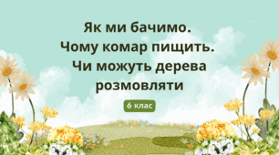 Презентація "Як ми бачимо.  Чому комар пищить.  Чи можуть дерева розмовляти"