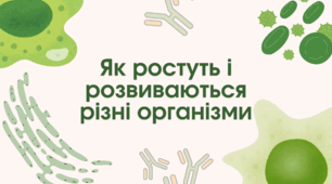 Презентація "Як ростуть і розвиваються різні організми"