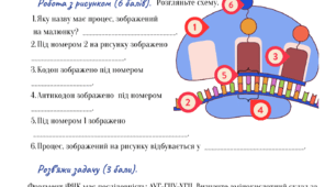 Самостійна робота "Центральна молекулярна догма. Біосинтез білка"