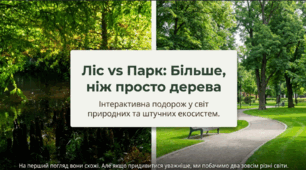 У чому відмінність лісу та парку