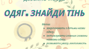 Дидактична гра «Одяг. Знайди тінь»
