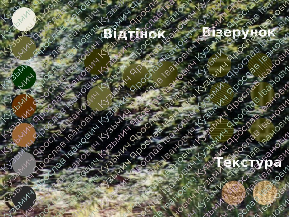 НАВЧАЛЬНИЙ ЦЕНТР НАЦІОНАЛЬНОЇ ГВАРДІЇ УКРАЇНИ ГРУПА ІНСТРУКТОРІВ Відтінок Візерунок Текстура