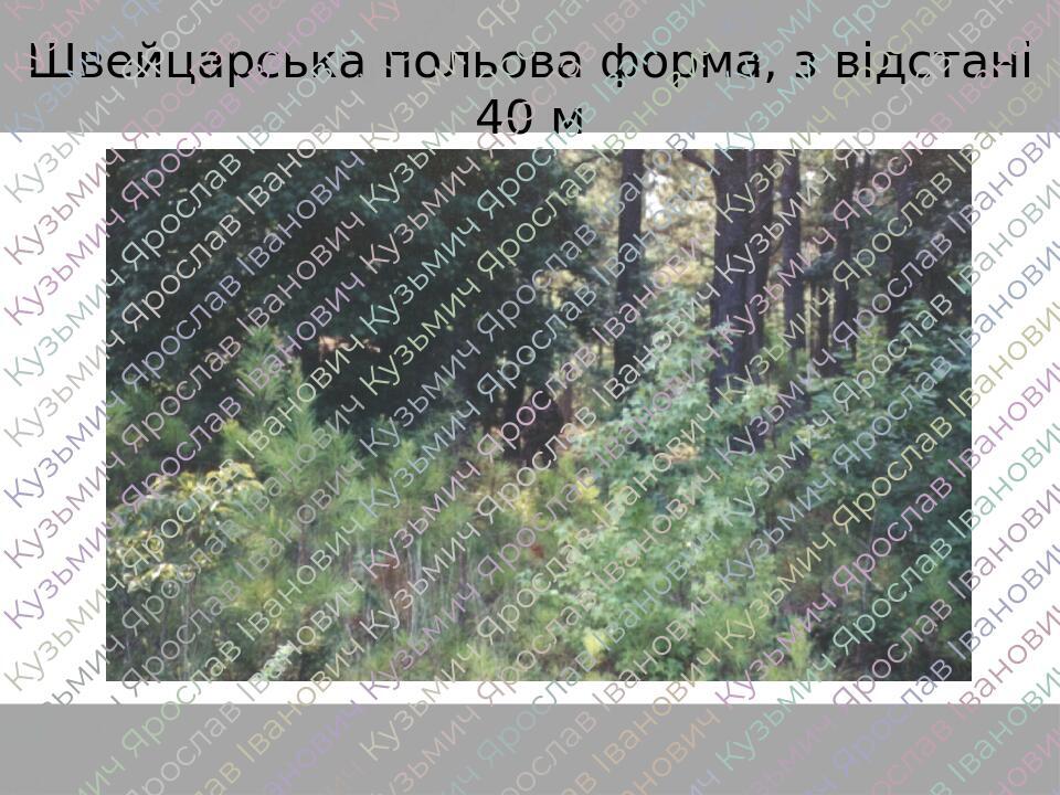 Швейцарська польова форма, з відстані 40 м