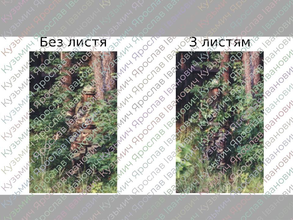 Без листя З листям