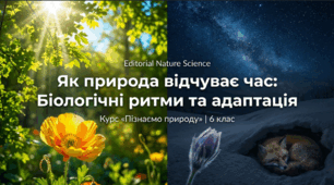 Як організми пристосувалися до періодичних змін середовища