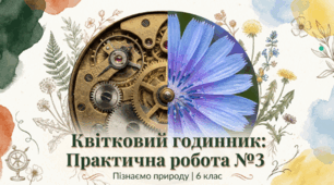 Практична робота №3  Квітковий годинник на подвір’ї