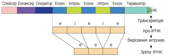 090164de-bfb2-561x180.png