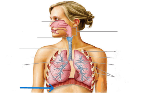 0901651i-d011-598x393.png