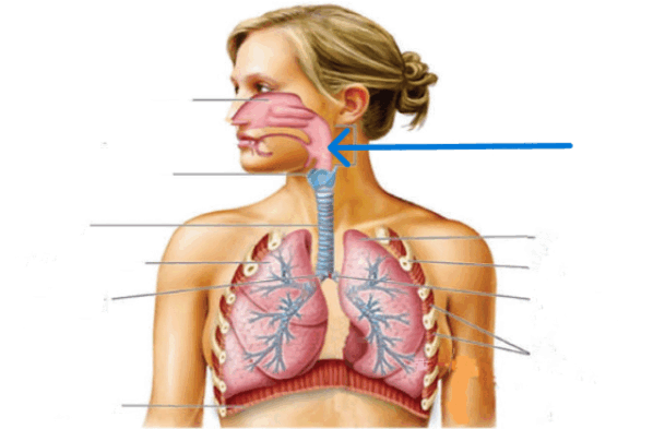 0901652b-0fd9-598x393.png