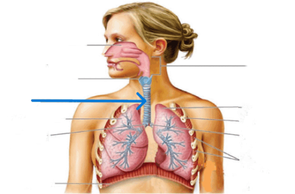 0901652r-b963-598x393.png