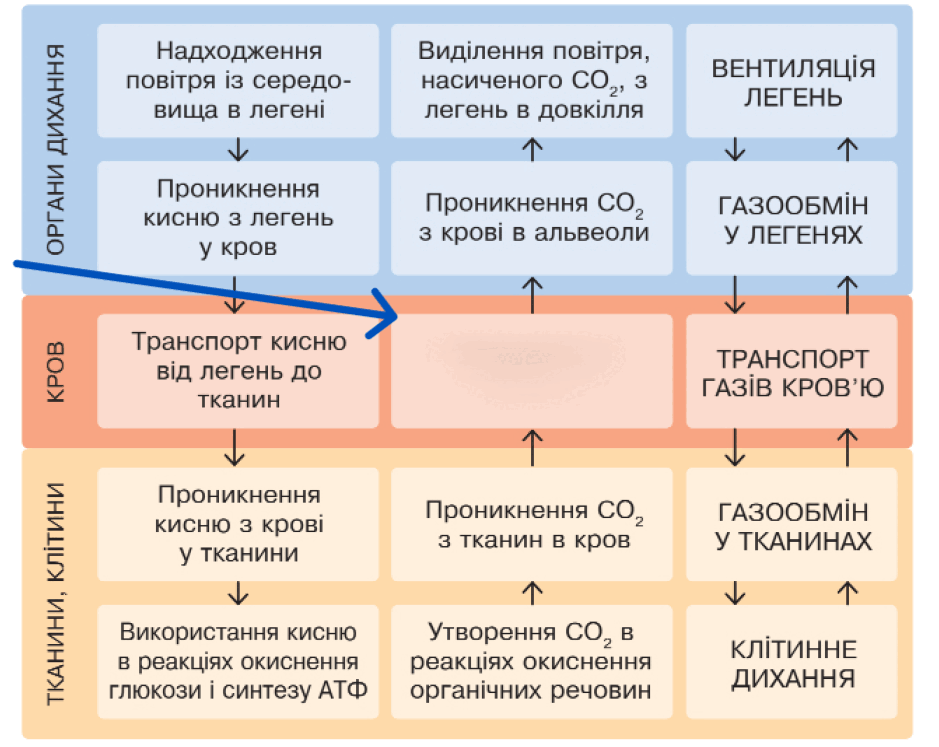 09016572-9e60-939x747.png