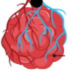 090165a7-b1f4-142x146.png
