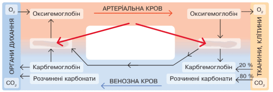 090165f9-fc25-912x309.png