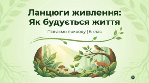 Як складати ланцюги живлення
