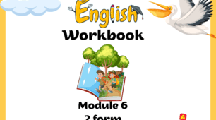 Smart Junior 2 Workbook Module 6