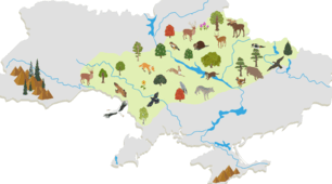 8 кл (НУШ) Лісостепова зона України.
