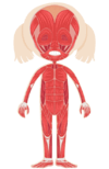 09016cze-6b7e-100x154.png