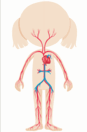 09016d02-79ea-87x132.png