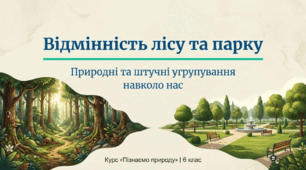 У чому відмінність лісу та парку