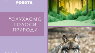 Діагностувальна контрольна робота 3 з теми «Слухаємо голоси природи»