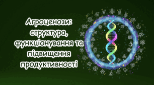 Агроценози, їхня структура та особливості функціонування. Шляхи підвищення продуктивності агроценозів.
