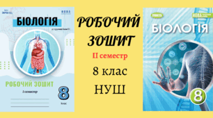 Робочий зошит 8 клас нуш ІІ семестр до підручника Балан