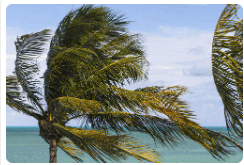 09016j5m-7f7d-244x165.png