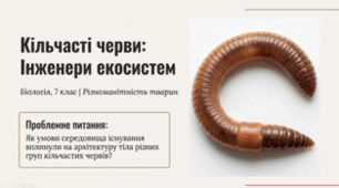 7 клас НУШ. Кільчасті черви