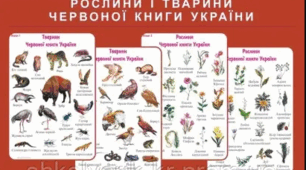 Контрольна, самостійна робота "Грунти, рослинність та тваринний світ" 8 клас географія
