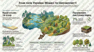 Природні зони України: мішаних лісів і широколистих лісів, лісостепова, степова