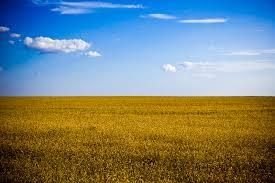 09016nck-11b4-275x183.jpg
