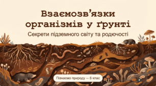 Взаємозв’язки організмів у ґрунті