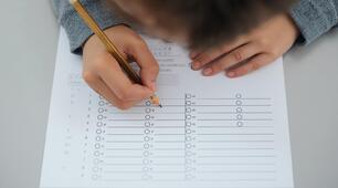 Topic: First Conditional (If + Present Simple, will + Verb)(Variant 2)
