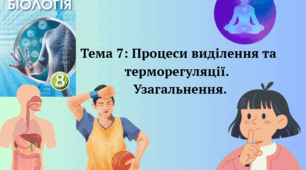 Процеси виділення та терморегуляції. Тема 7. Узагальнення. 8 клас НУШ